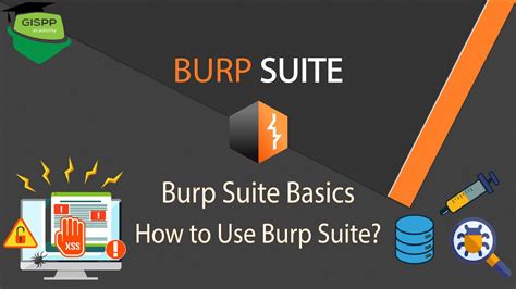 burp suite|burp suite meaning.